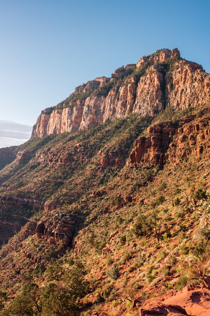 services-01 A breathtaking view of the rugged terrain of Grand Canyon West, Arizona, under clear blue skies.